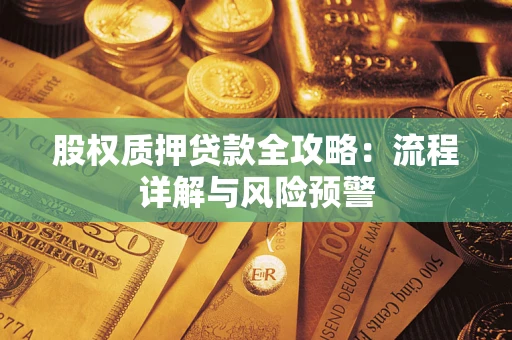 武汉股权质押贷款全攻略：流程详解与风险预警