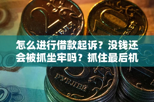 武汉怎么进行借款起诉？没钱还会被抓坐牢吗？抓住最后机会！