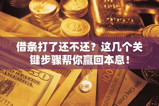 武汉借条打了还不还？这几个关键步骤帮你赢回本息！