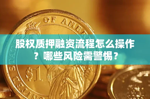 武汉股权质押融资流程怎么操作？哪些风险需警惕？