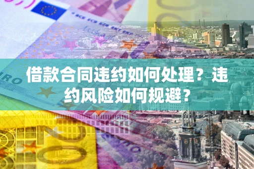 武汉借款合同违约如何处理？违约风险如何规避？