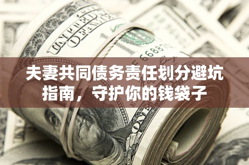 武汉夫妻共同债务责任划分避坑指南，守护你的钱袋子