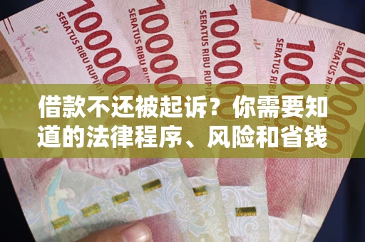 武汉借款不还被起诉？你需要知道的法律程序、风险和省钱技巧