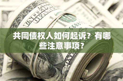 武汉共同债权人如何起诉？有哪些注意事项？